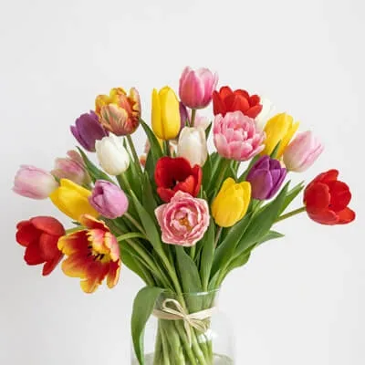 Tulips